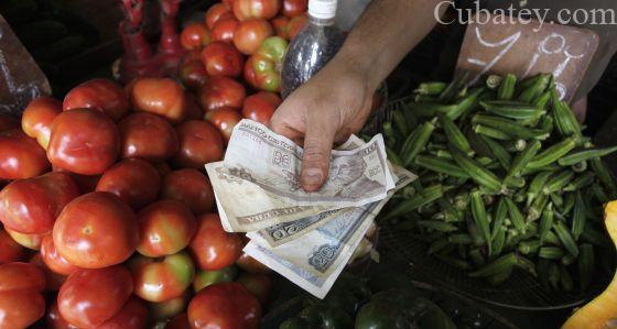 Aseguran que España asesora a Cuba en la gestión de impuestos Aseguran que España asesora a Cuba en la gestión de impuestos