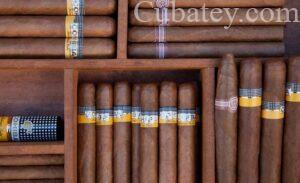 Disminuyen las ventas de tabacos cubanos en todo el mundo